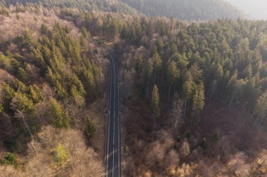 Bahar zamanı dağ yolunun havadan görünüşü. Dağ yolunda giden arabalar ormanı kesiyor. Romanya 'nın Allah Brasov kentine giden yolun üzerindeki dağ manzarası