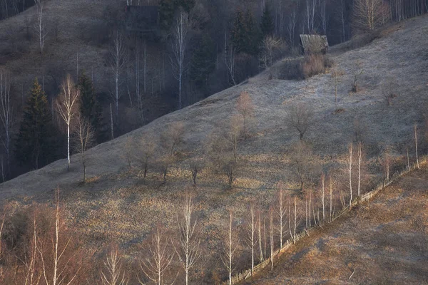 Paisaje Primavera Aérea Sobre Hermoso Pueblo Transilvania Poiana Marului Rumania —  Fotos de Stock