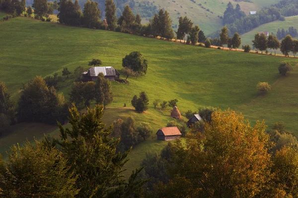 Paisagem de verão nas colinas — Fotografia de Stock