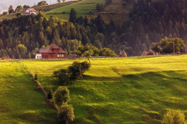 İzole ev Transilvanya Hill, Brasov, Romanya