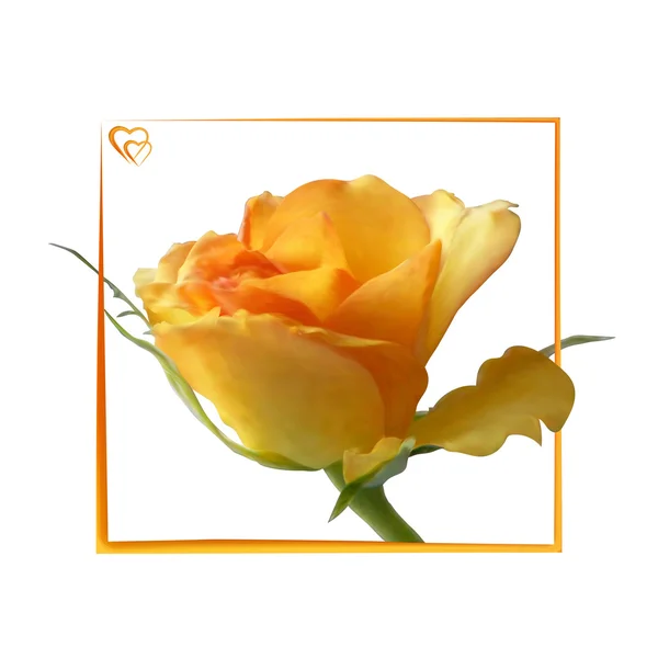 Realistic yellow rose in a square frame with hearts — Stock Vector