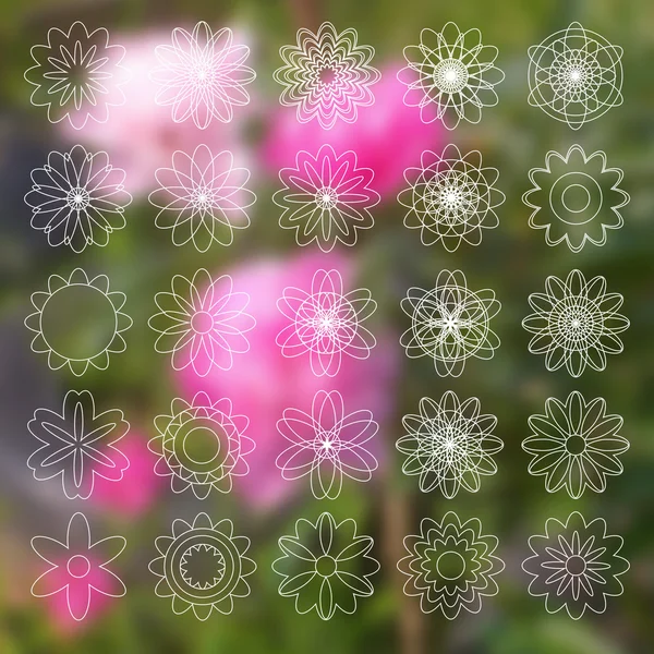 Reihe linearer Blumensymbole auf verschwommenem Hintergrund — Stockvektor