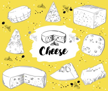 Farklı peynir türlerinin vektör görüntüleri. El yazması çizim 