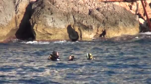 Divers afloat in the sea — Stock Video