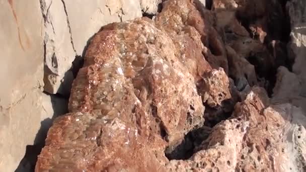 Cristaux de Calcite sur rochers — Video