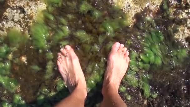 Pies desnudos en agua de mar — Vídeo de stock