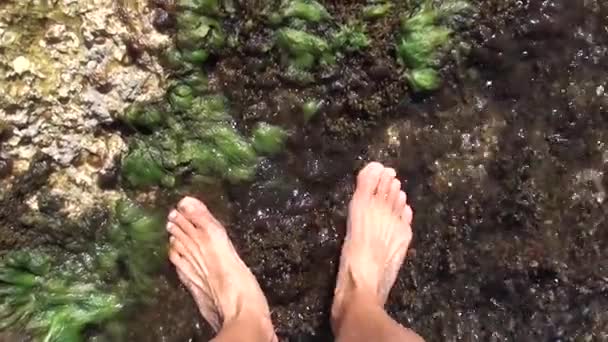 Blote voeten in zeewater — Stockvideo