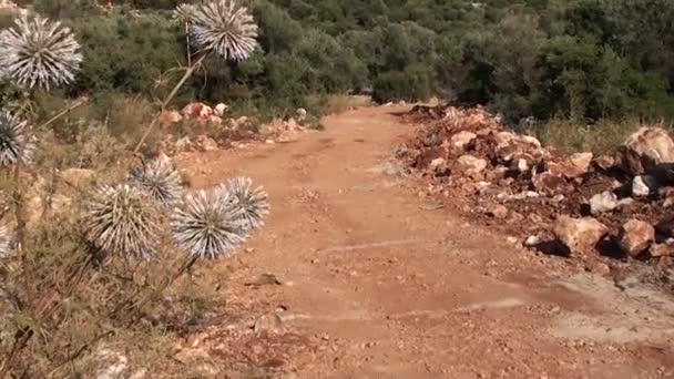 Estrada traseira para lugar nenhum 2 — Vídeo de Stock