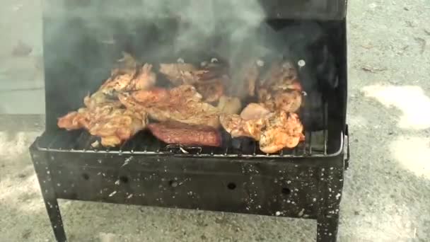 Bitar av kyckling matlagning på grillen — Stockvideo