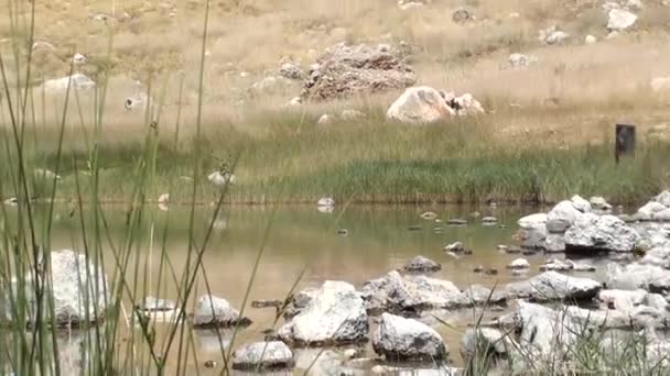 Zoom do Lago Crater — Vídeo de Stock