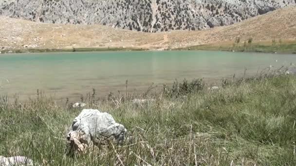 Grüner Kratersee an heißen Sommertagen — Stockvideo