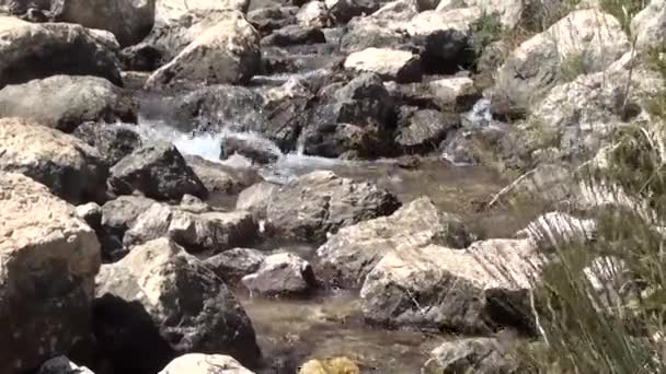 Górski potok spływały 2 — Wideo stockowe