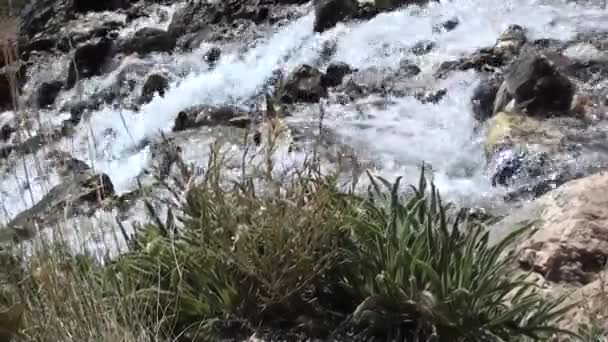 Гірський потік, що йде вниз — стокове відео