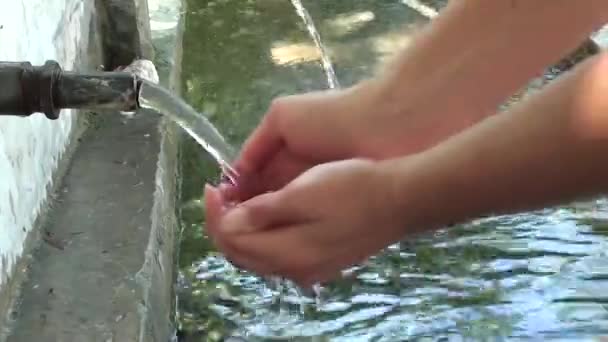 Cupped hands gathering spring water — Stok Video