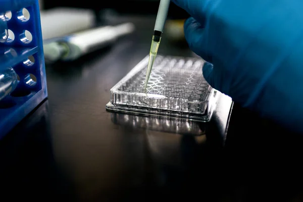 Stock Photo Unrecognized Scientist Filling Test Tubes Laboratory — Stock Photo, Image