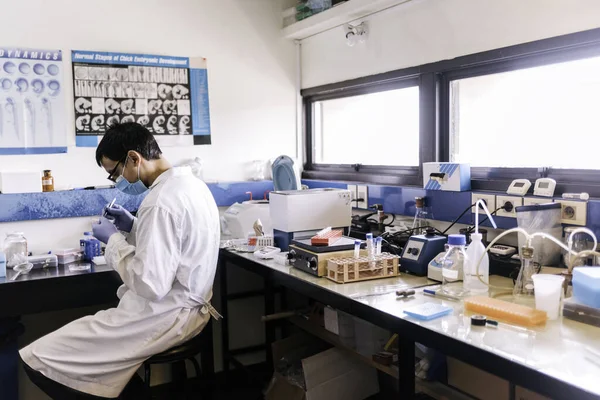 Foto Stock Científico Masculino Con Máscara Facial Trabajando Laboratorio —  Fotos de Stock