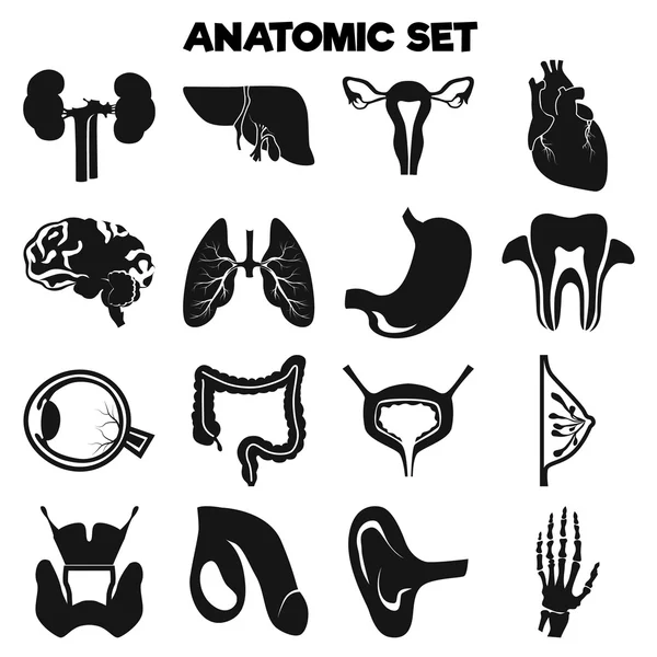 Set van zestien menselijke organen — Stockvector