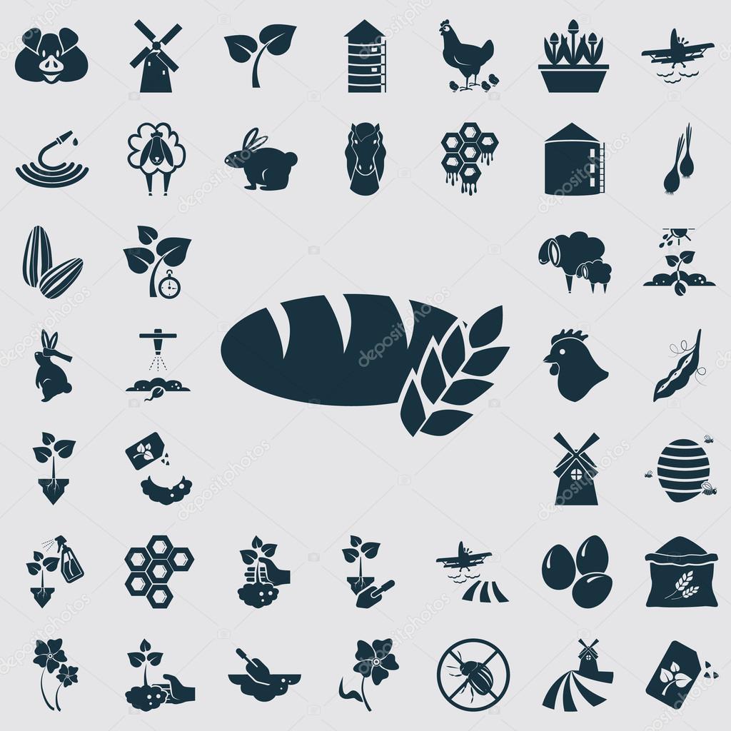 Set of forty agriculture icons