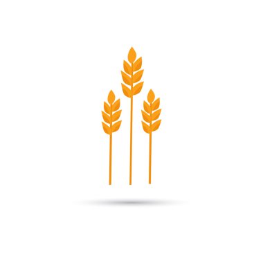 Buğday rengi şekilde kutsal kişilerin resmi