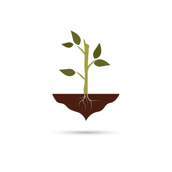 Ikona kolor rolnictwo roślina — Wektor stockowy