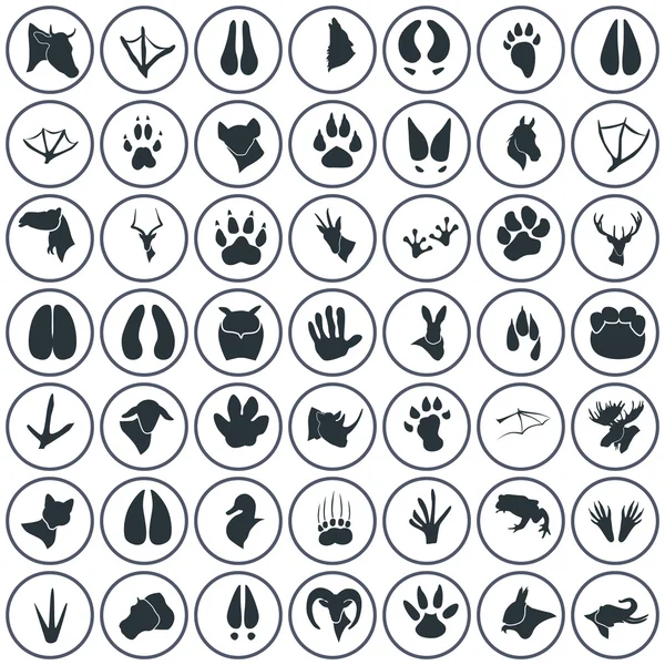 Set van negenenveertig dierlijke pictogrammen — Stockvector