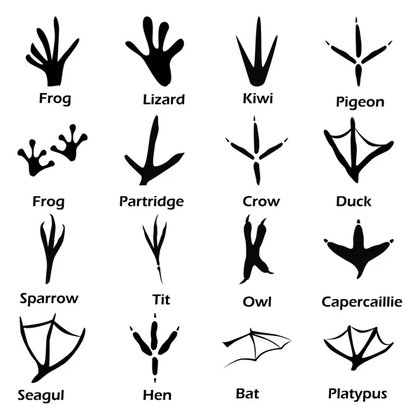Satz von sechzehn Tieren Pfote drucken Symbole — Stockvektor