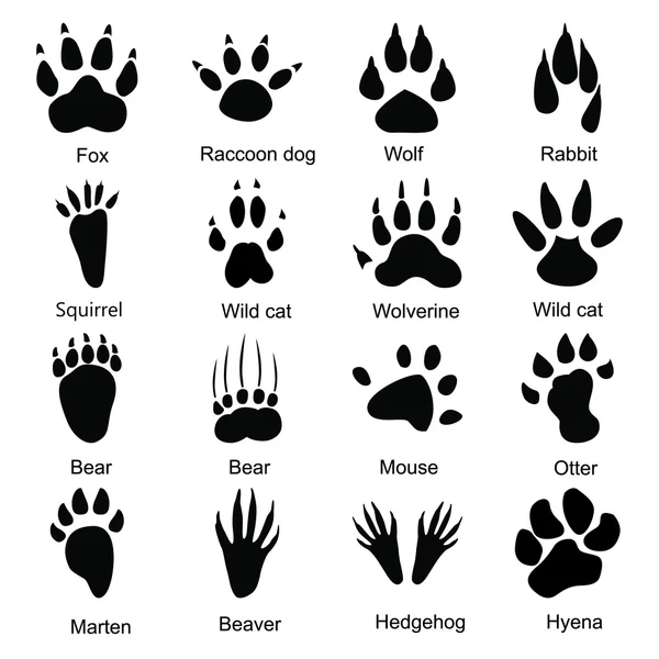 Set of sixteen animals paw print icons — Stock Vector