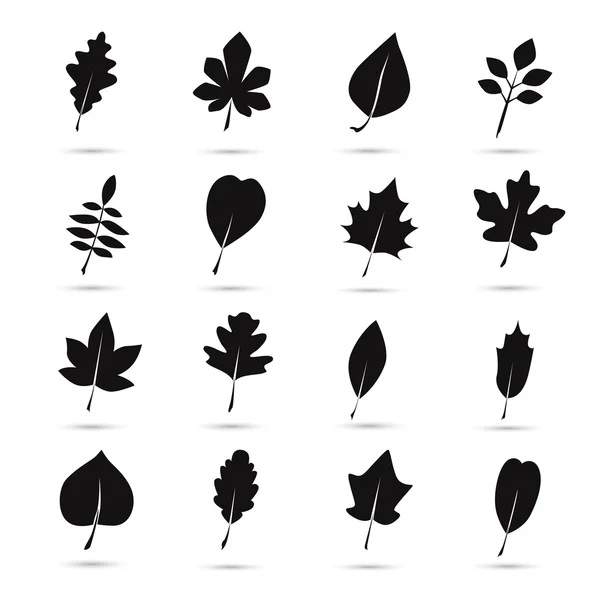 Набор листьев дерева — стоковый вектор