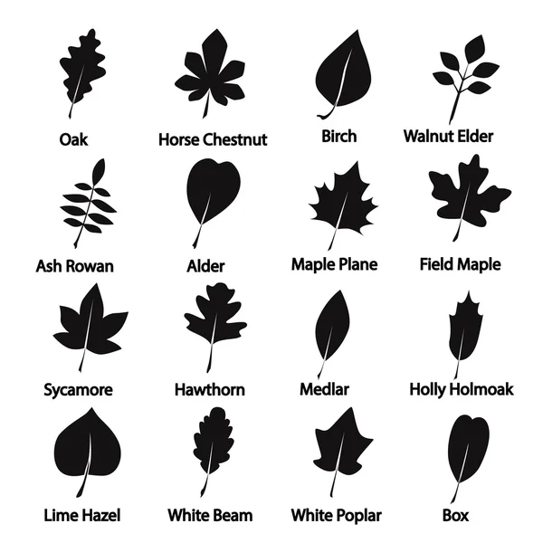 Reihe von Baumblättern Symbol — Stockvektor