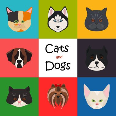 Kediler ve Köpekler renk düz simgesi