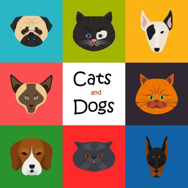 Kediler ve Köpekler renk düz simgesi