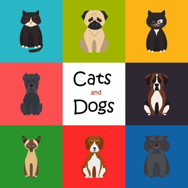 Kediler ve Köpekler renk düz simgesi
