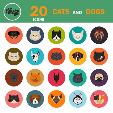 Kediler ve Köpekler renk düz simgesi