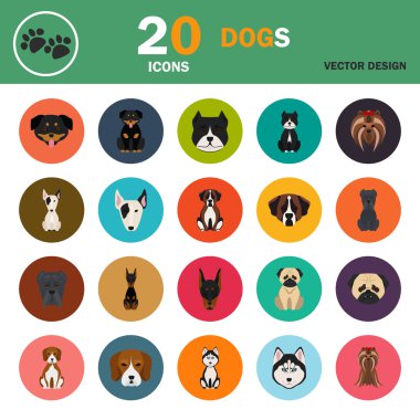 Köpekler renk düz set simgesi