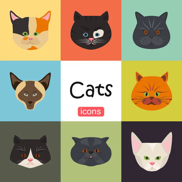 Gatos cor plana set ícone — Vetor de Stock