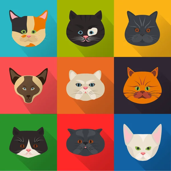 25 cats flat icon pack Royalty Free Vector Image