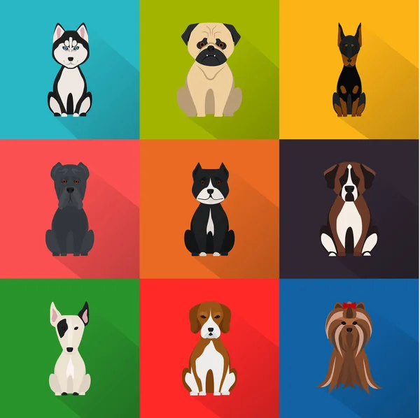 Dogs color flat set icon — Stock Vector