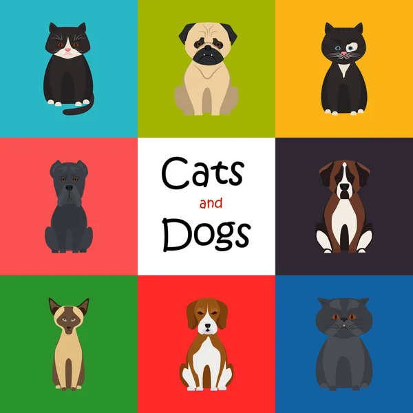 Cats and dogs color flat icon — Stock Vector