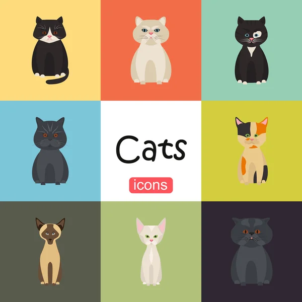 Цвет плоского набора кошек — стоковый вектор