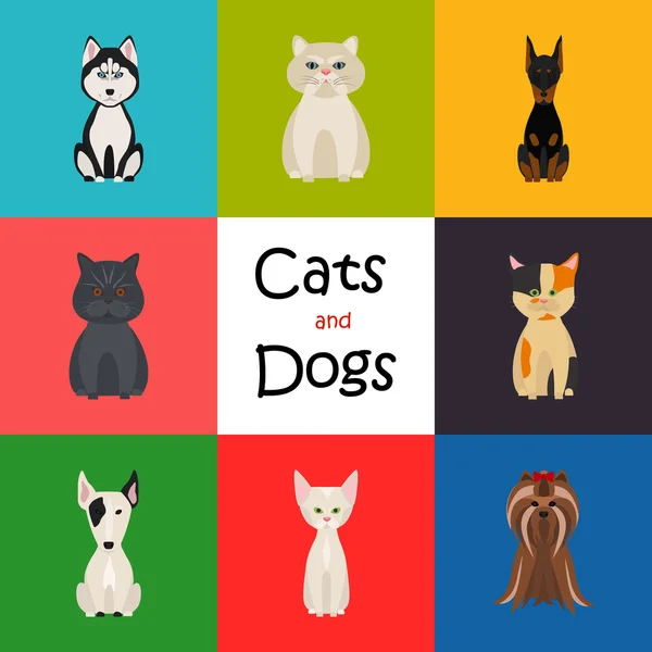 Katter och hundar platt färgikonen — Stock vektor