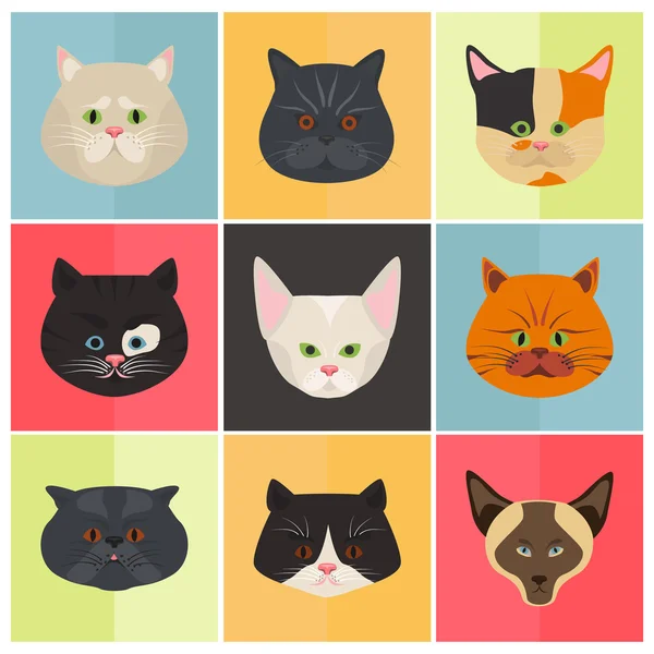 Gatos cor plana set ícone — Vetor de Stock