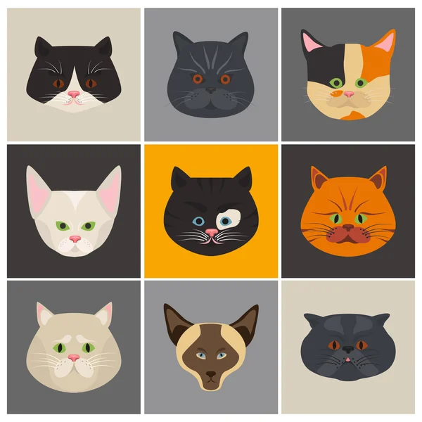 25 cats flat icon pack Royalty Free Vector Image