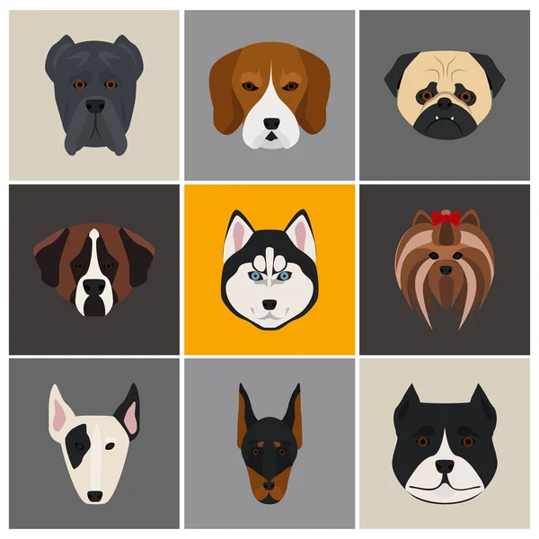 Kutyák színes lapos készlet ikon — Stock Vector
