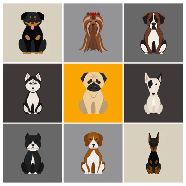 Kutyák színes lapos készlet ikon — Stock Vector