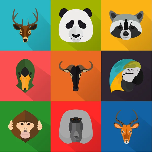 Dieren kleur platte set — Stockvector