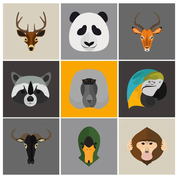 Dieren kleur platte set — Stockvector