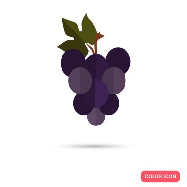 Üzüm demet renk düz simgesi