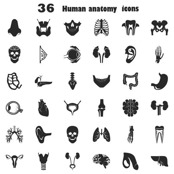 Conjunto de treinta y seis iconos simples anatomía humana — Archivo Imágenes Vectoriales