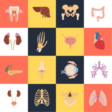 On altı insan organlarını ve anatomik parçaları renk düz simgeler kümesi