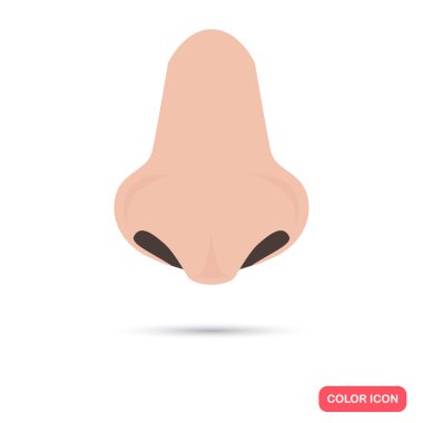İnsan burun renk düz simgesi